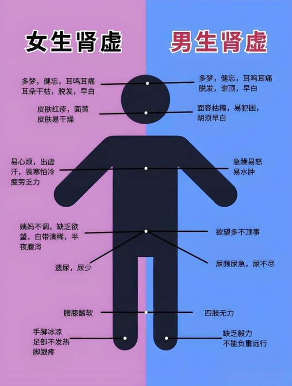 小猪导航