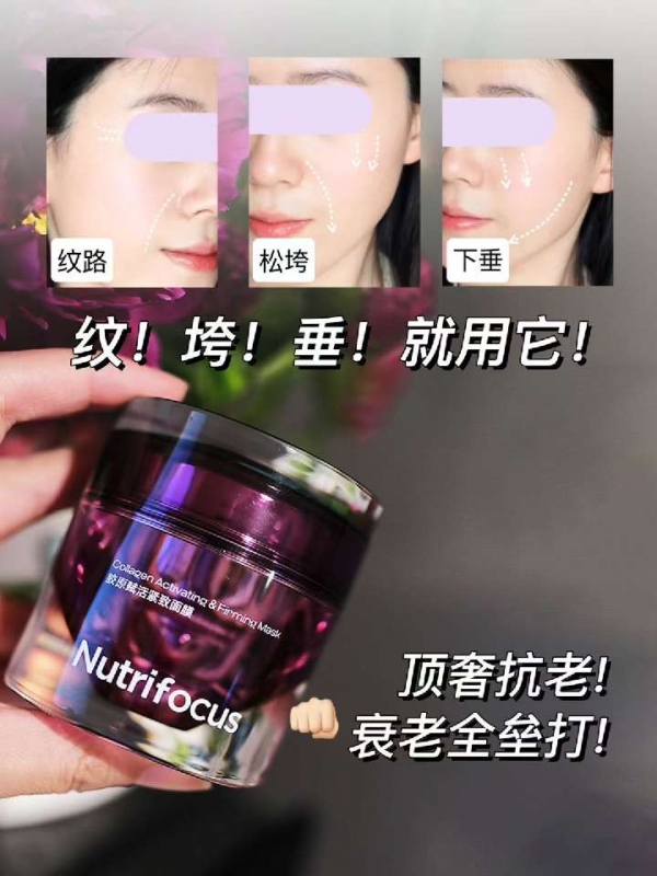 小猪导航