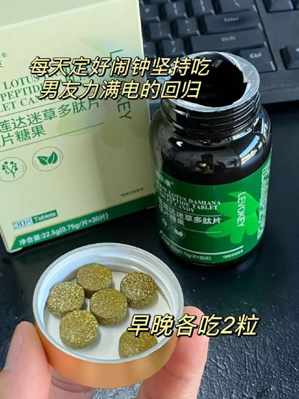小猪导航