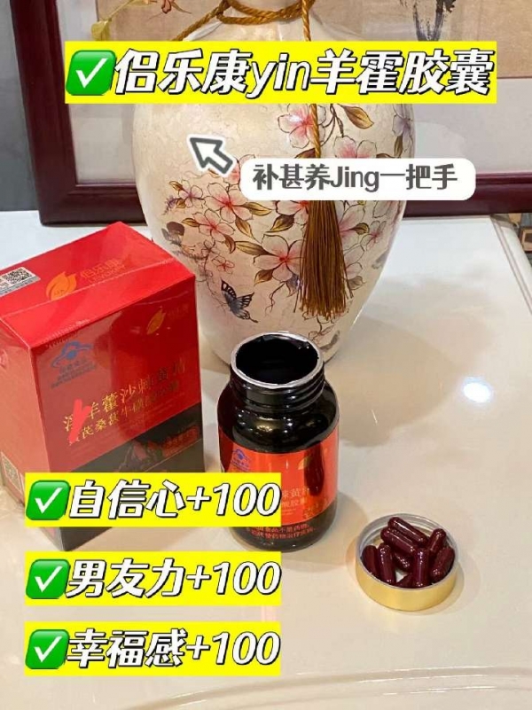 小猪导航