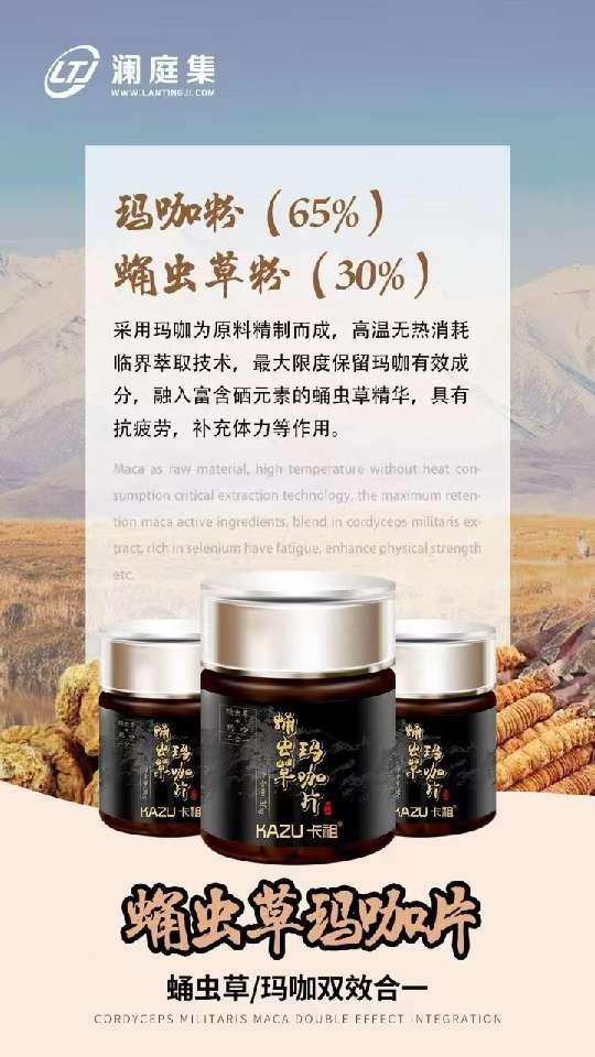 小猪导航