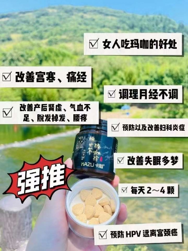 小猪导航