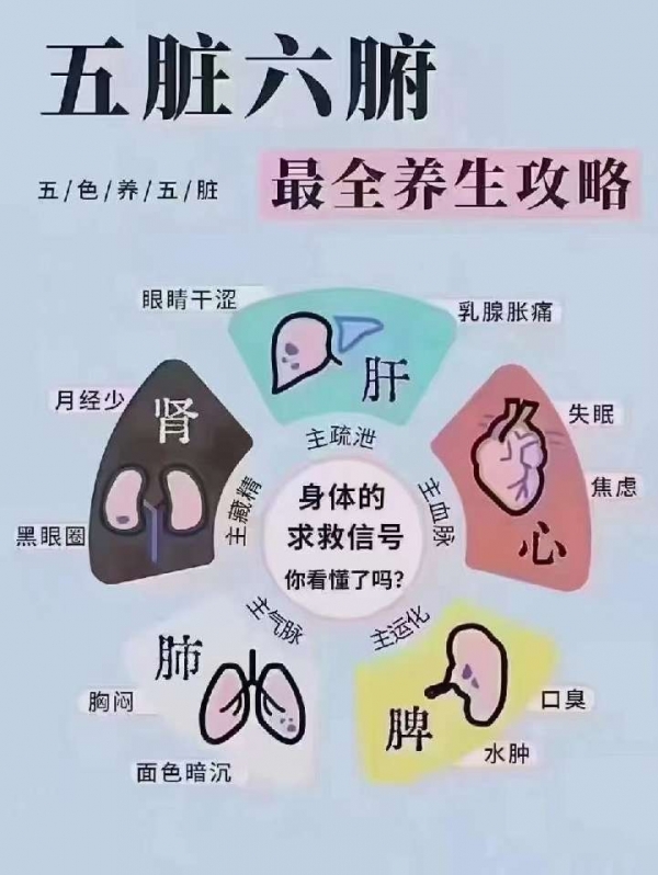 小猪导航