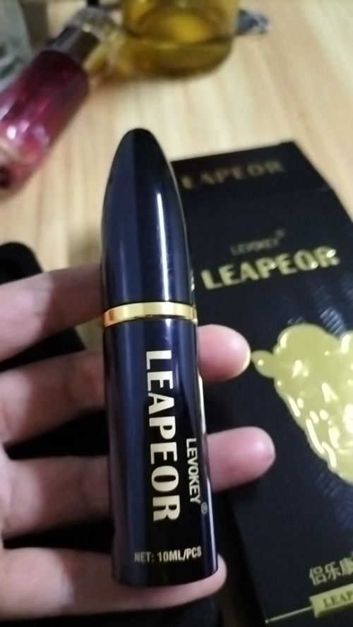小猪导航