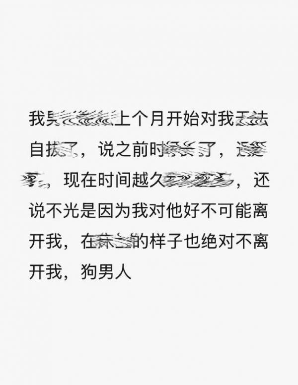 小猪导航