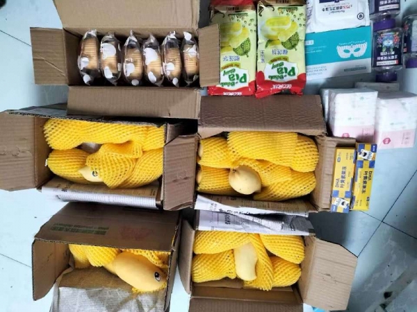 小猪导航