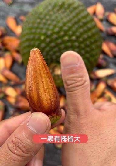 个人中心|产品秀 - 小猪导航 - 社交电商行业全国微信群二维码导航平台大全