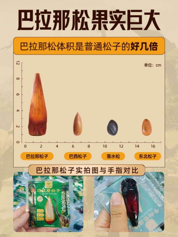 个人中心|产品秀 - 小猪导航 - 社交电商行业全国微信群二维码导航平台大全