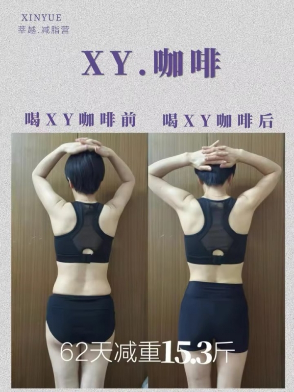 小猪导航