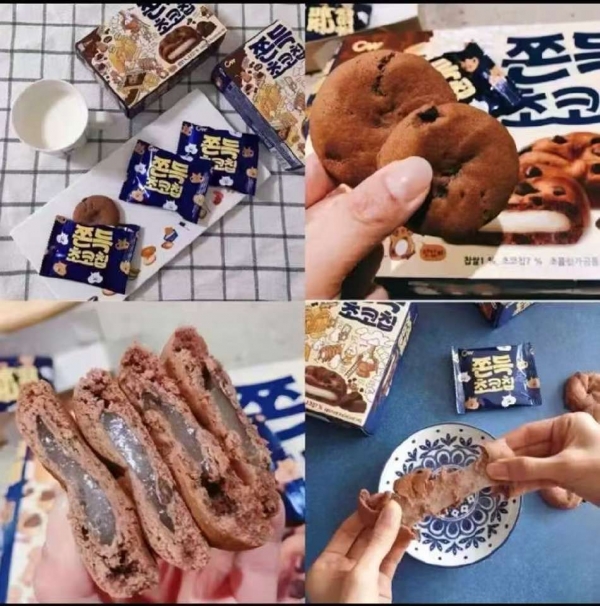 小猪导航