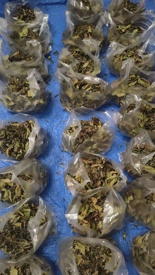 小猪导航