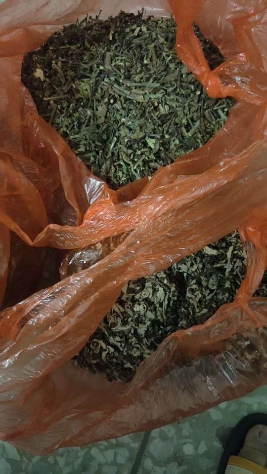 小猪导航