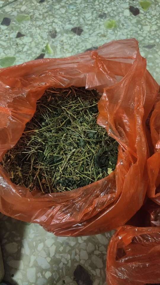 小猪导航
