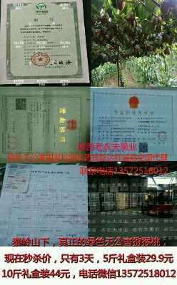 个人中心|话题 - 小猪导航 - 社交电商行业全国微信群二维码导航平台大全