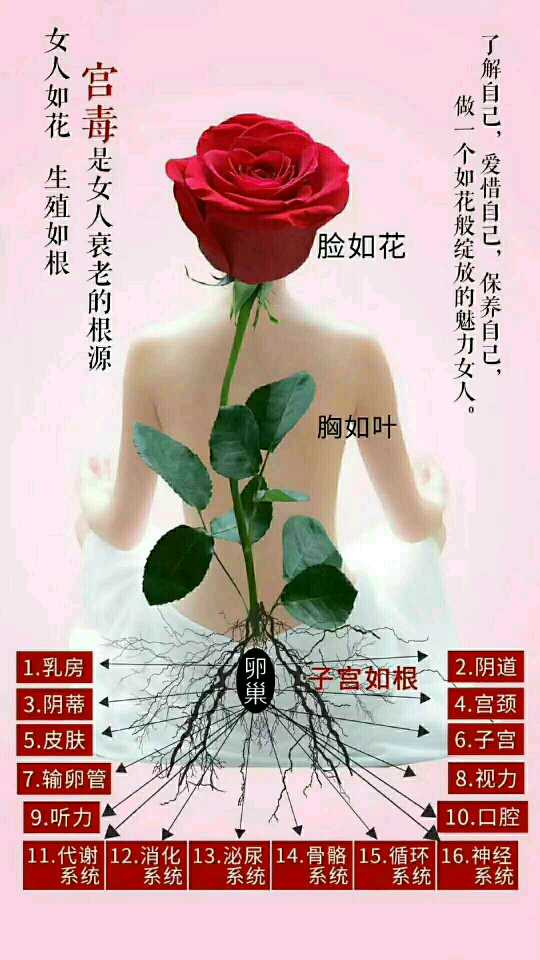 个人中心|话题 - 小猪导航 - 社交电商行业全国微信群二维码导航平台大全