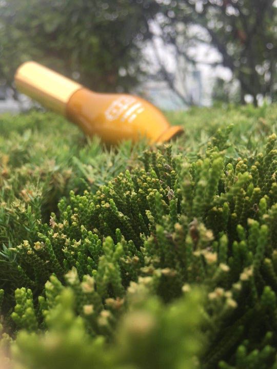 个人中心|话题 - 小猪导航 - 社交电商行业全国微信群二维码导航平台大全