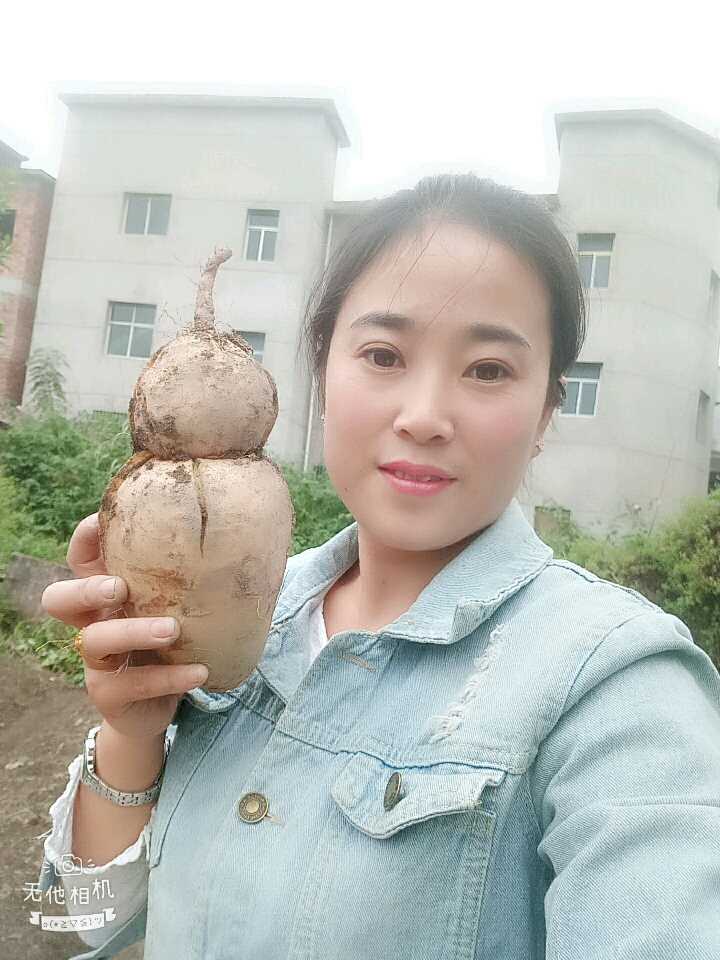 个人中心|话题 - 小猪导航 - 社交电商行业全国微信群二维码导航平台大全