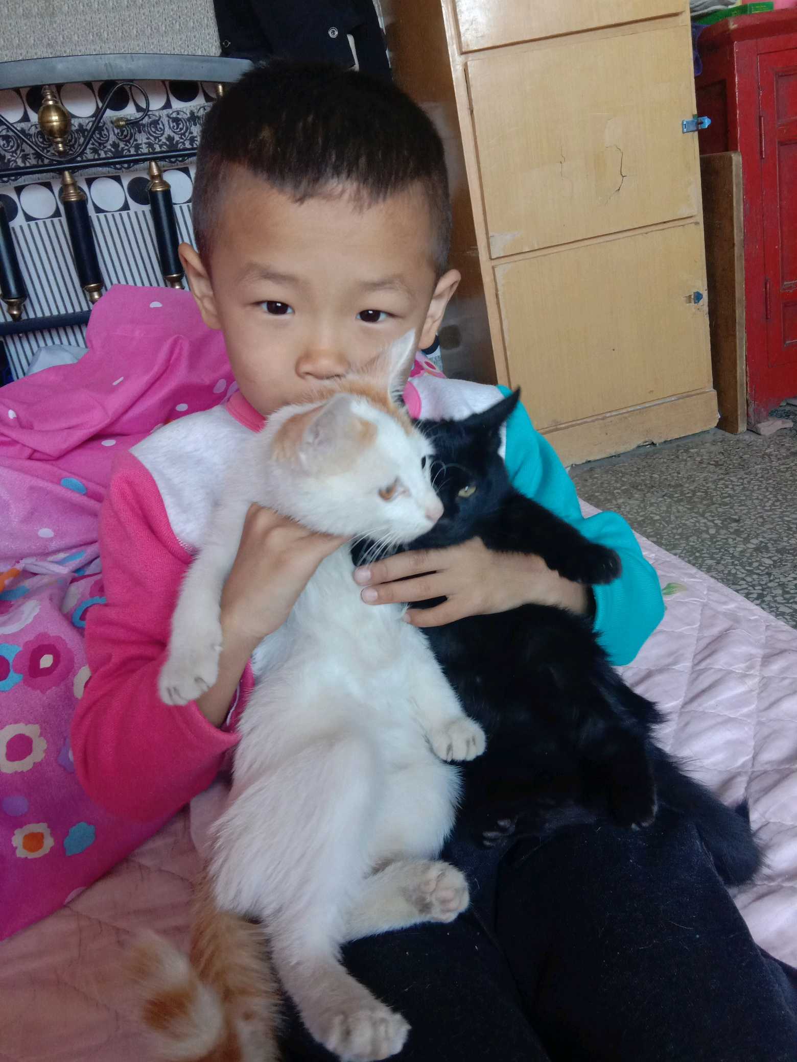 个人中心|话题 - 小猪导航 - 社交电商行业全国微信群二维码导航平台大全