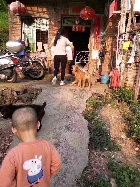 个人中心|话题 - 小猪导航 - 社交电商行业全国微信群二维码导航平台大全