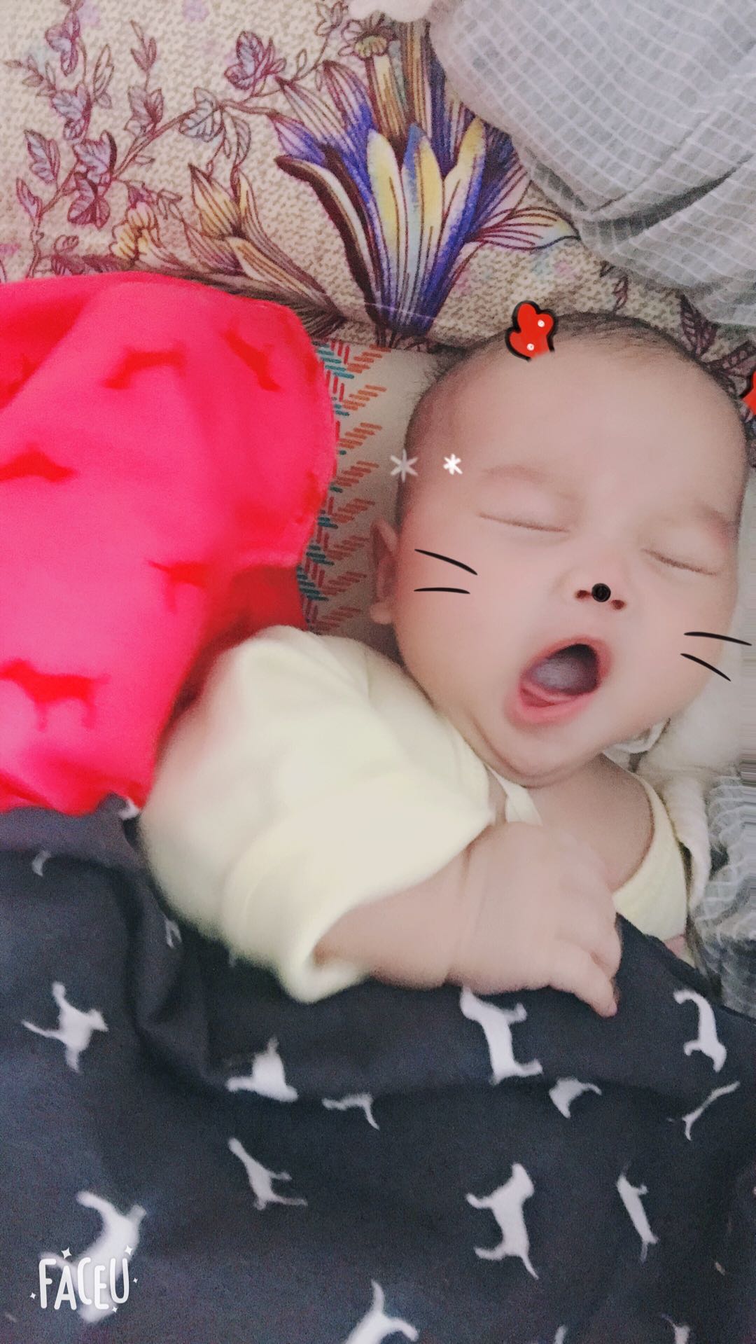 个人中心|话题 - 小猪导航 - 社交电商行业全国微信群二维码导航平台大全