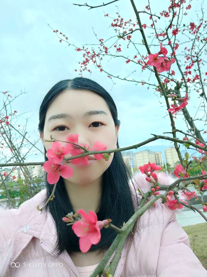 个人中心|话题 - 小猪导航 - 社交电商行业全国微信群二维码导航平台大全