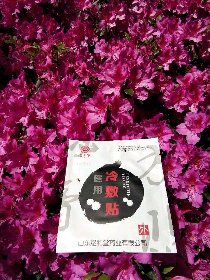 个人中心|话题 - 小猪导航 - 社交电商行业全国微信群二维码导航平台大全
