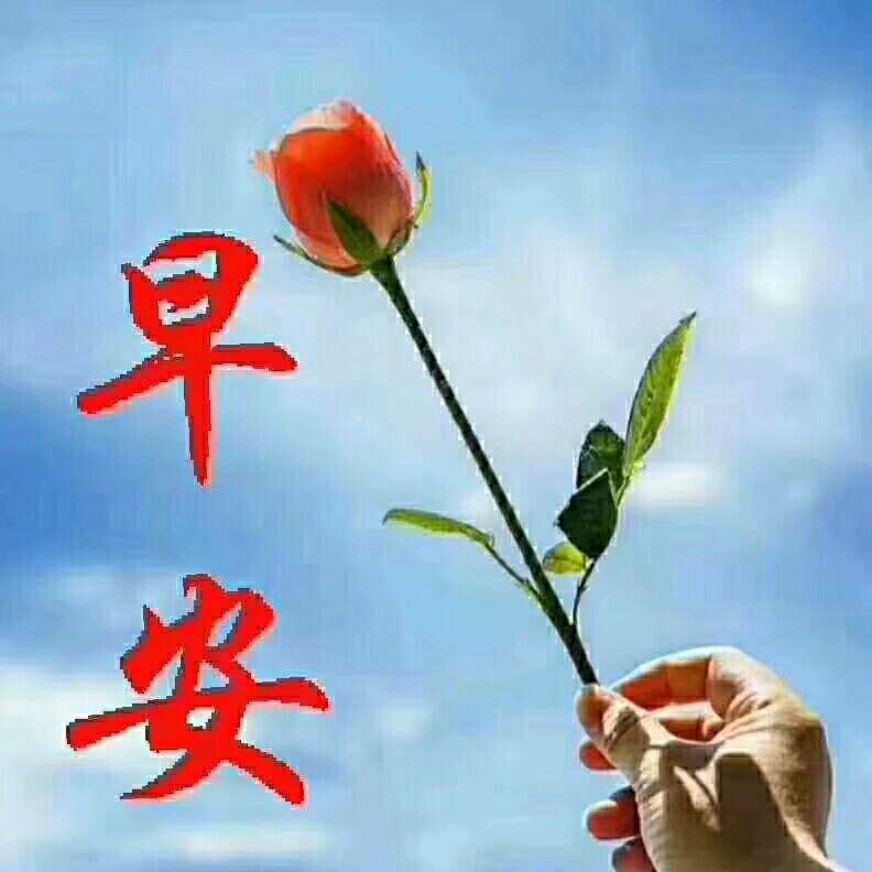 个人中心|话题 - 小猪导航 - 社交电商行业全国微信群二维码导航平台大全