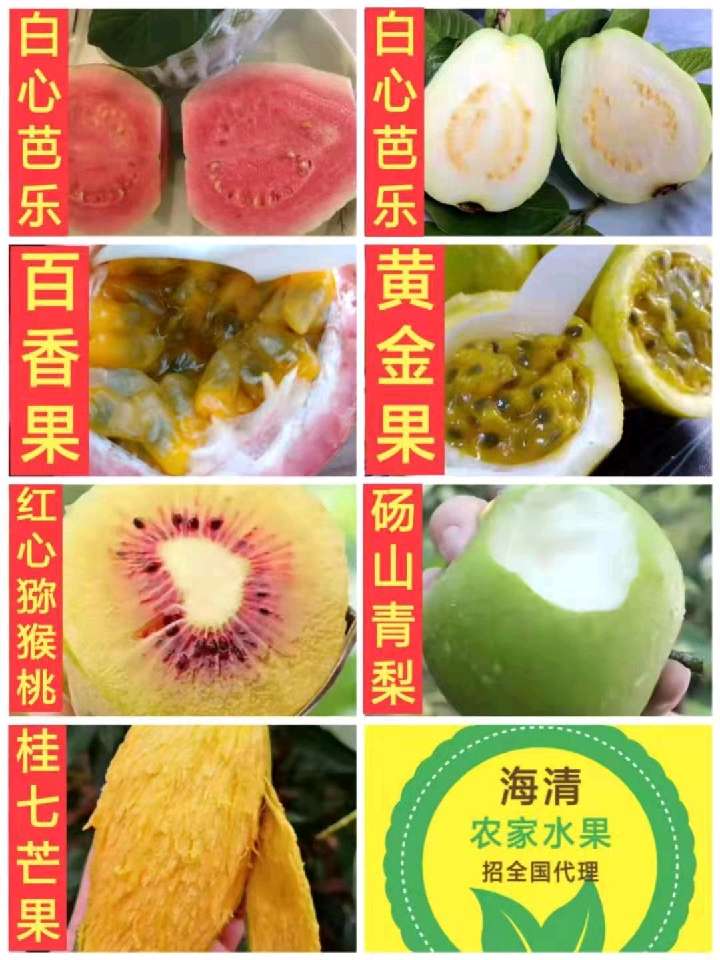 个人中心|话题 - 小猪导航 - 社交电商行业全国微信群二维码导航平台大全