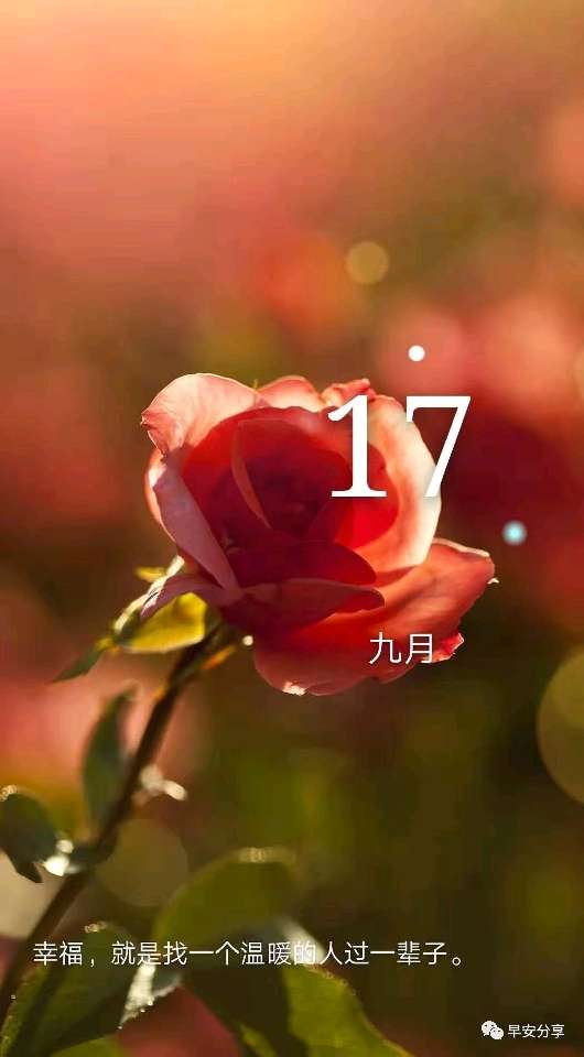 个人中心|话题 - 小猪导航 - 社交电商行业全国微信群二维码导航平台大全