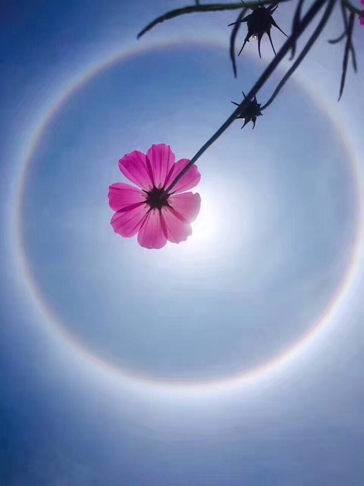 个人中心|话题 - 小猪导航 - 社交电商行业全国微信群二维码导航平台大全