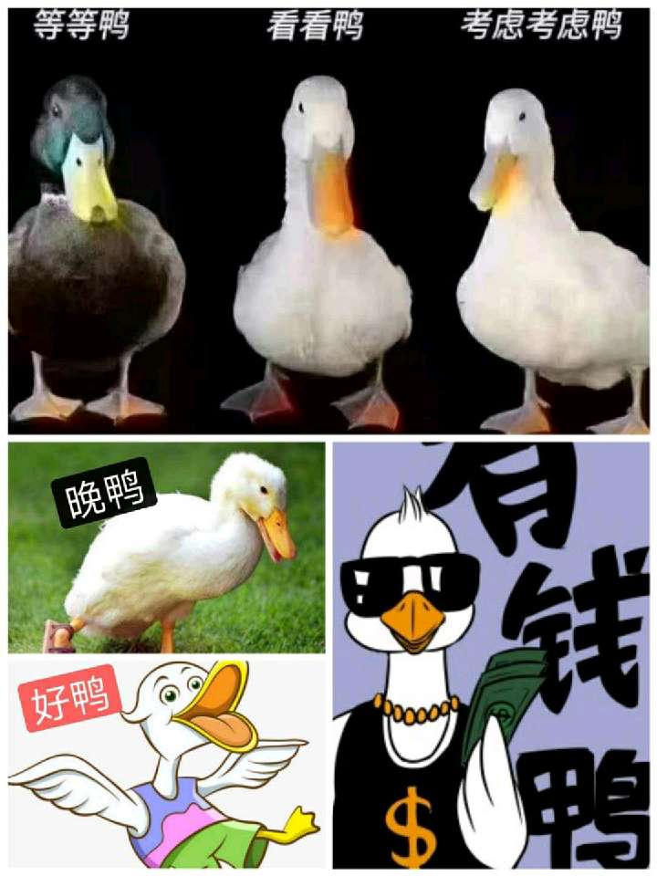 个人中心|话题 - 小猪导航 - 社交电商行业全国微信群二维码导航平台大全
