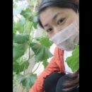 进群*群主咨询副业 — 天津- - 小猪导航 - 社交电商行业全国微信群二维码导航平台大全