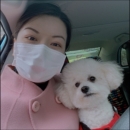 寻找在家创业的项目 - 小猪导航 - 社交电商行业全国微信群二维码导航平台大全