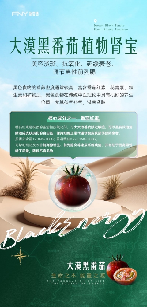 小猪导航