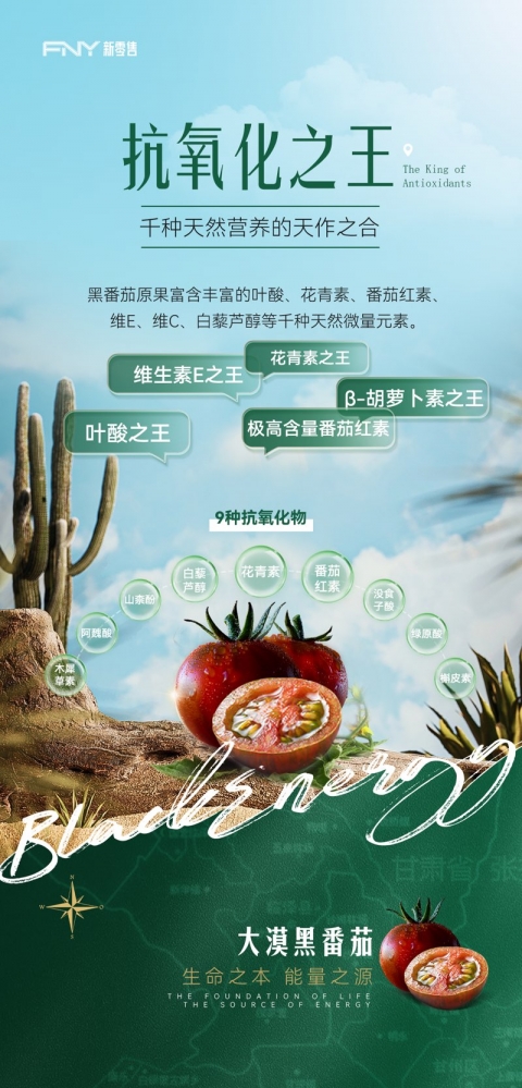 小猪导航