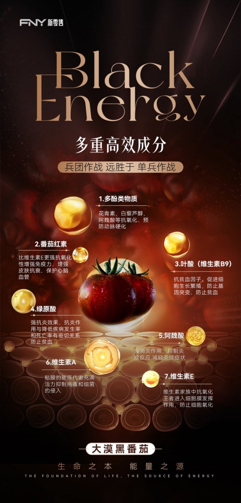 小猪导航