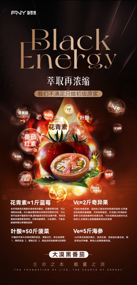 小猪导航